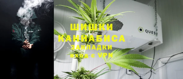 ПСИЛОЦИБИНОВЫЕ ГРИБЫ Кодинск