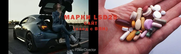 ПСИЛОЦИБИНОВЫЕ ГРИБЫ Кодинск