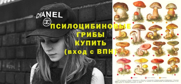 МДПВ Козловка