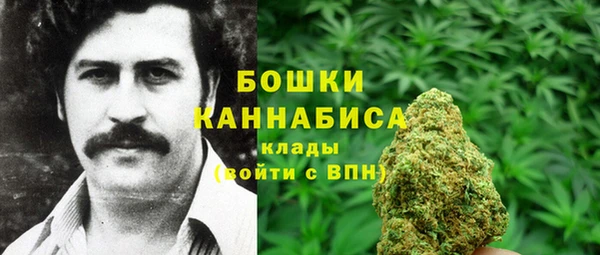 МДПВ Козловка