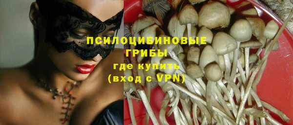 МДПВ Козловка