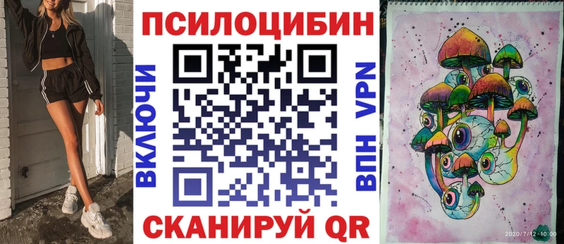 Купить закладки  Воркута  Галлюциногенные грибы мицелий 